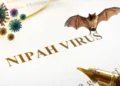 Nipah virus Kerala Kozhikode fresh case updates